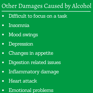 Other Damages Caused by Alcohol
