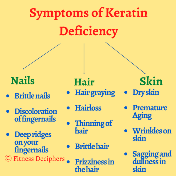 11 Best Foods Rich in Keratin (100 Effective) Fitness Deciphers