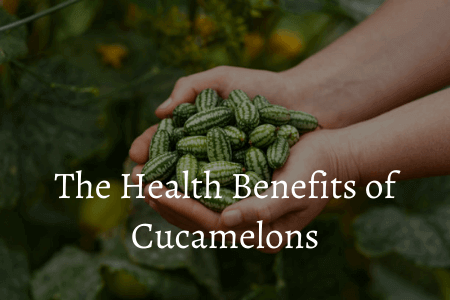 Health Benefits of Cucamelons